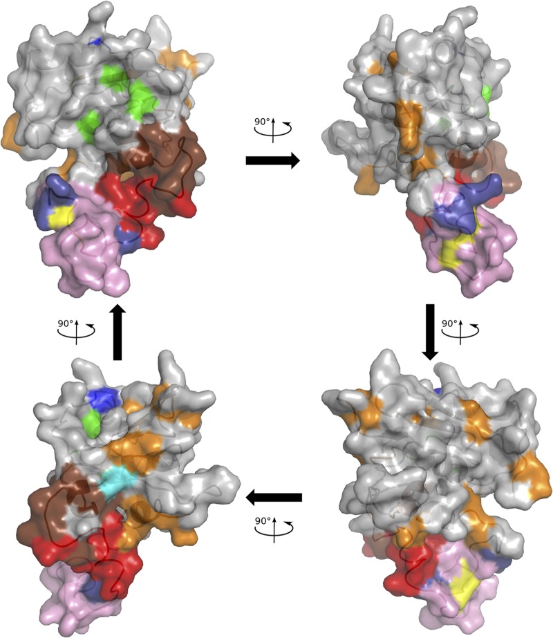 FIG 6