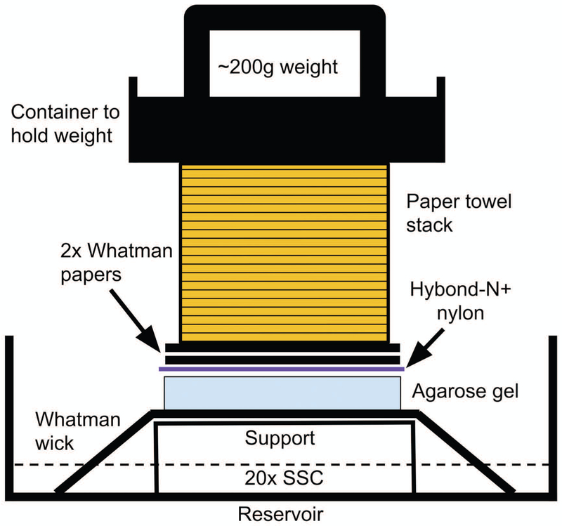 Fig. 3.