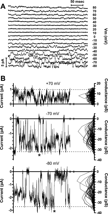 Fig. 4.