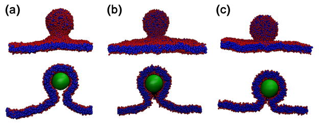 Figure 11