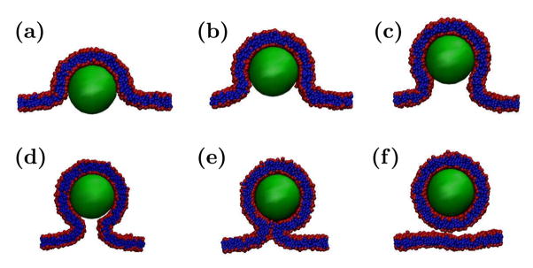 Figure 10