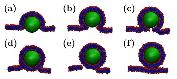 Figure 12