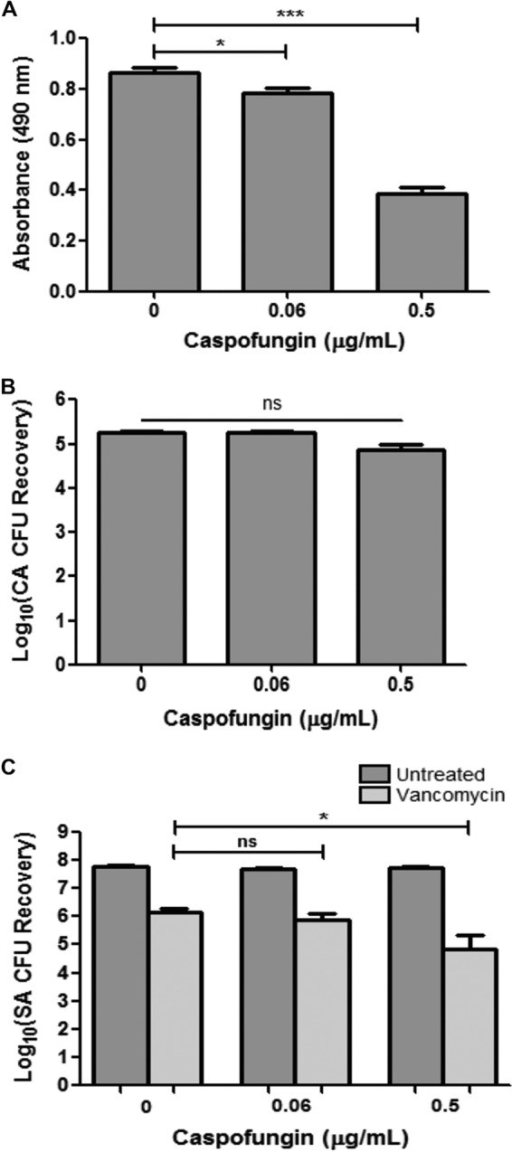 FIG 6 