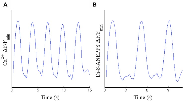 Fig 4