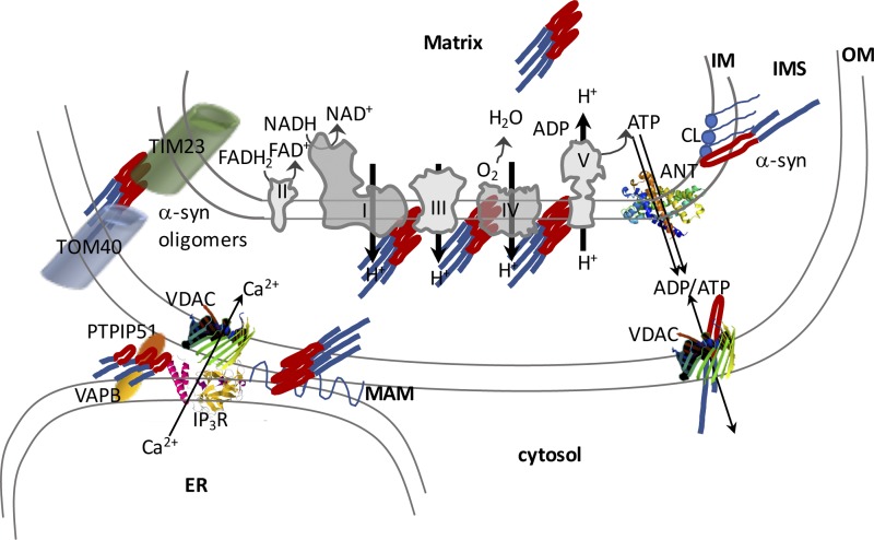 Figure 2.