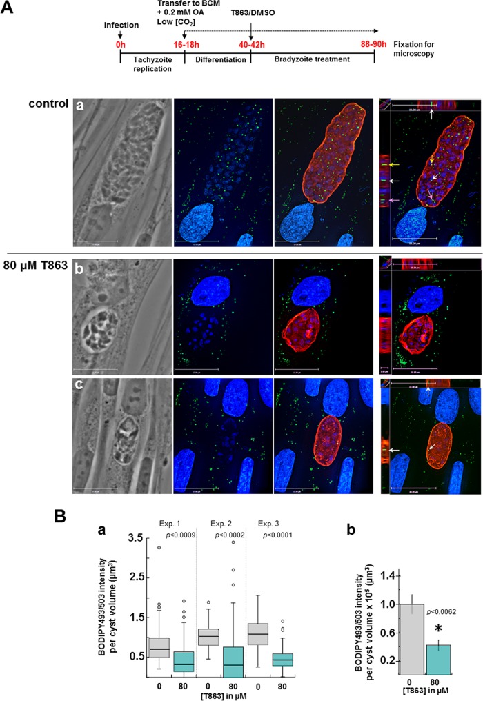 FIG 14