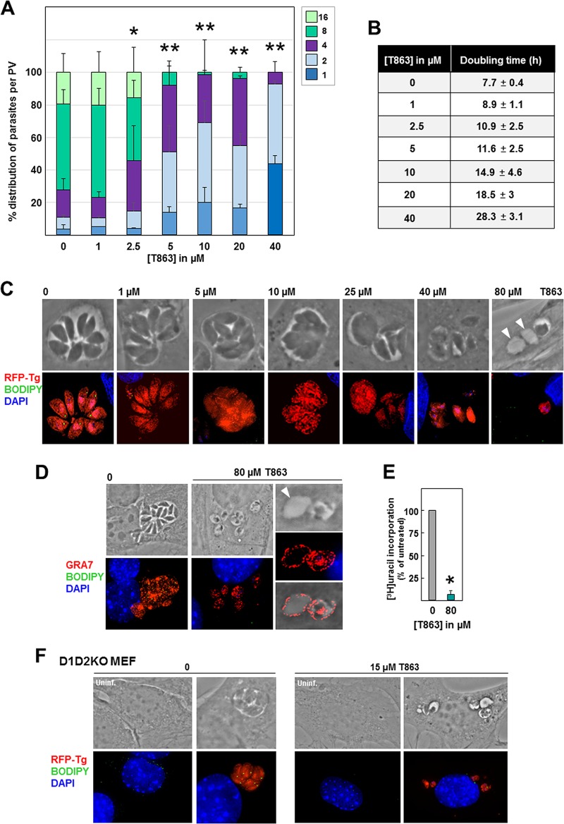 FIG 8