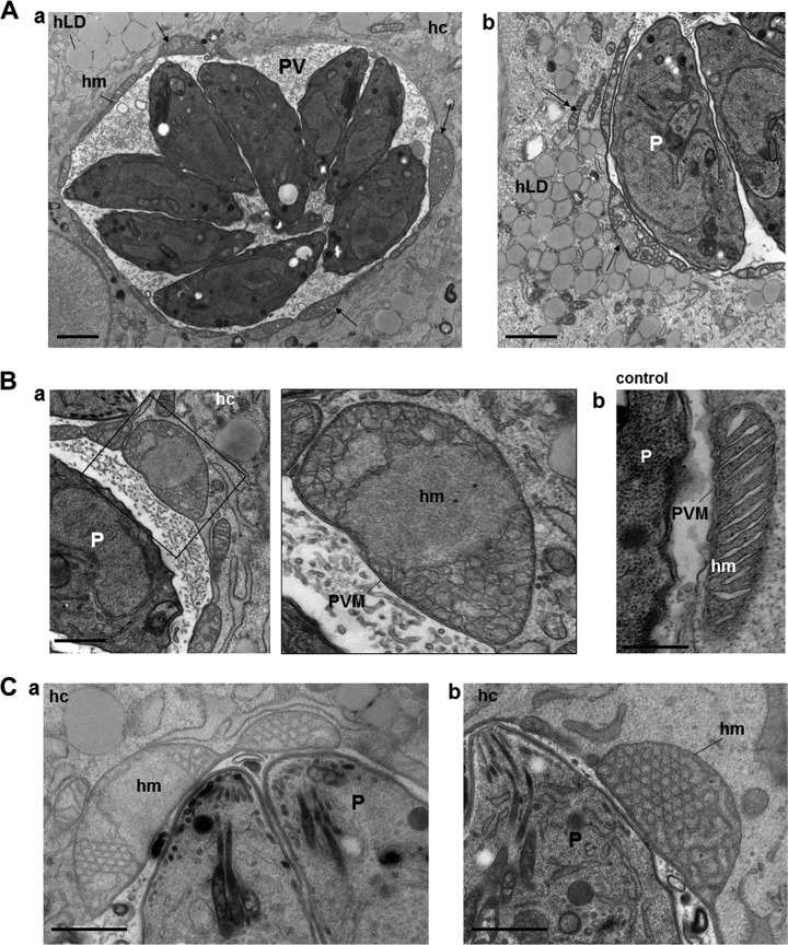 FIG 6