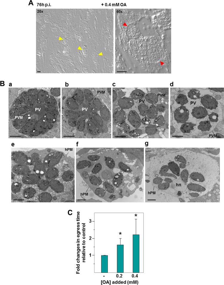 FIG 2