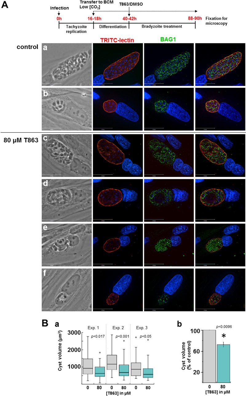 FIG 13