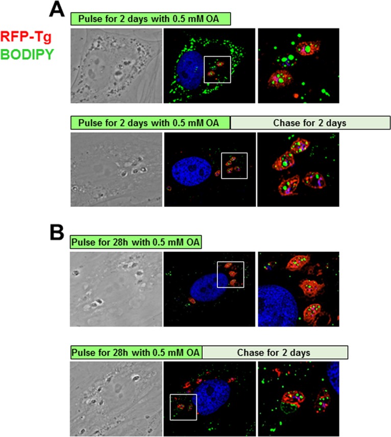 FIG 7