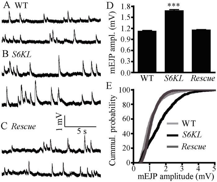 Fig 6