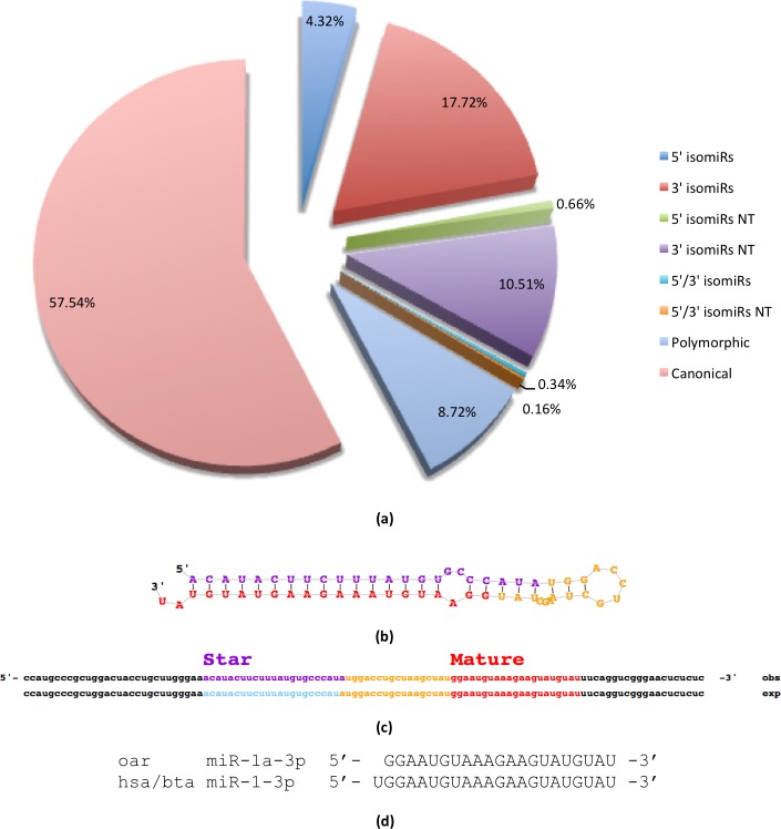 Fig 5