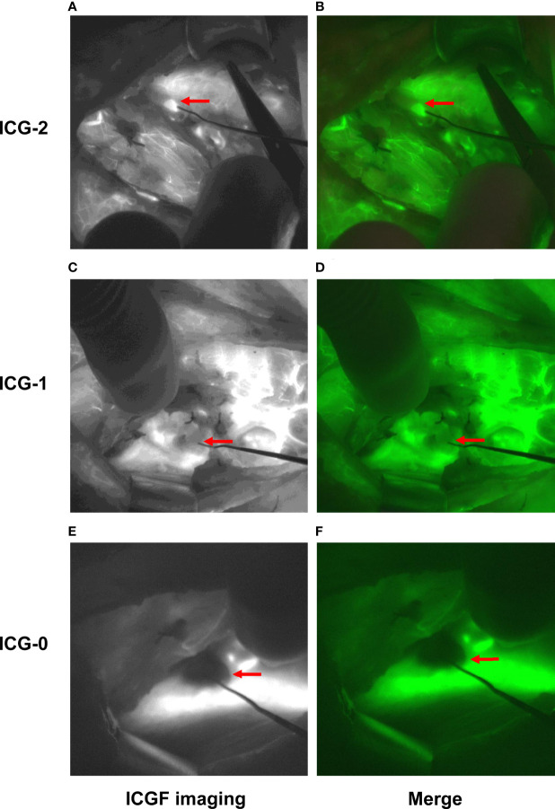 Figure 3