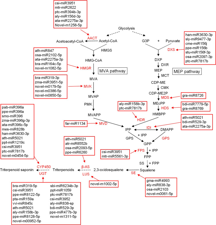 Figure 4