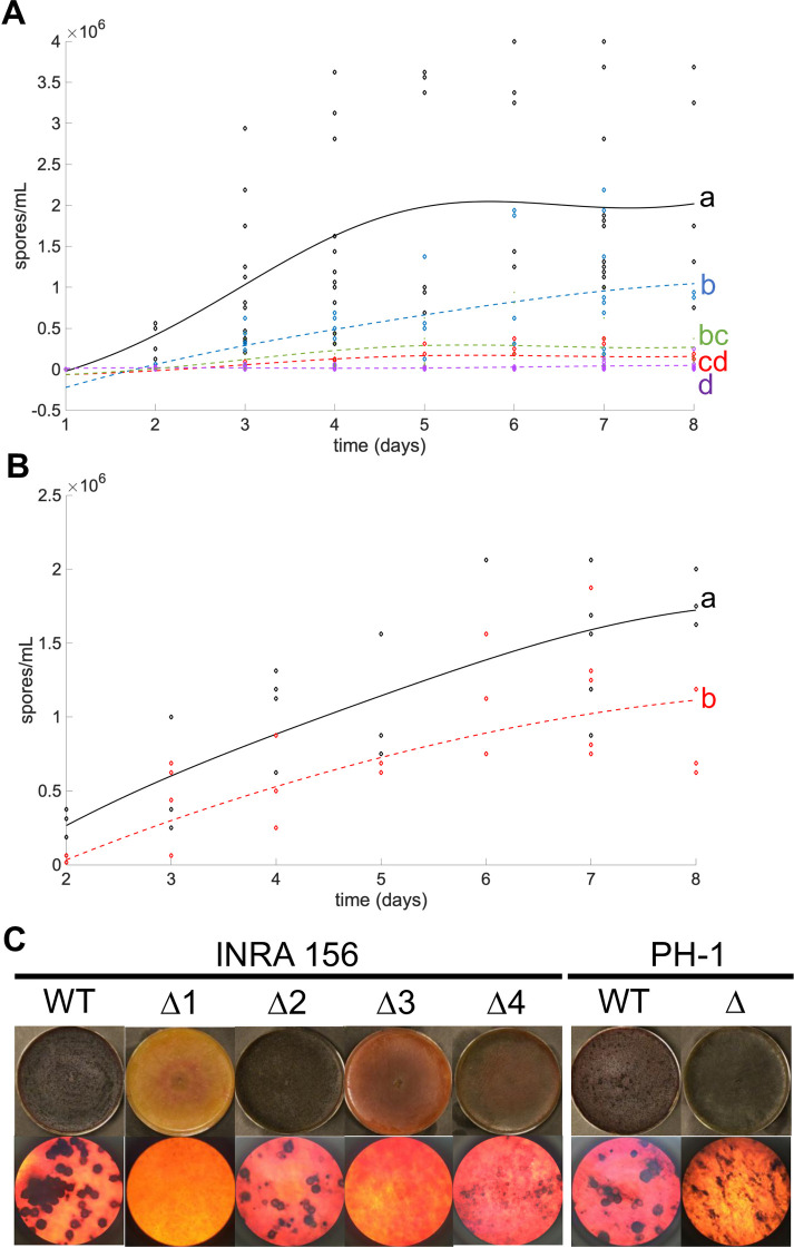 Fig 6