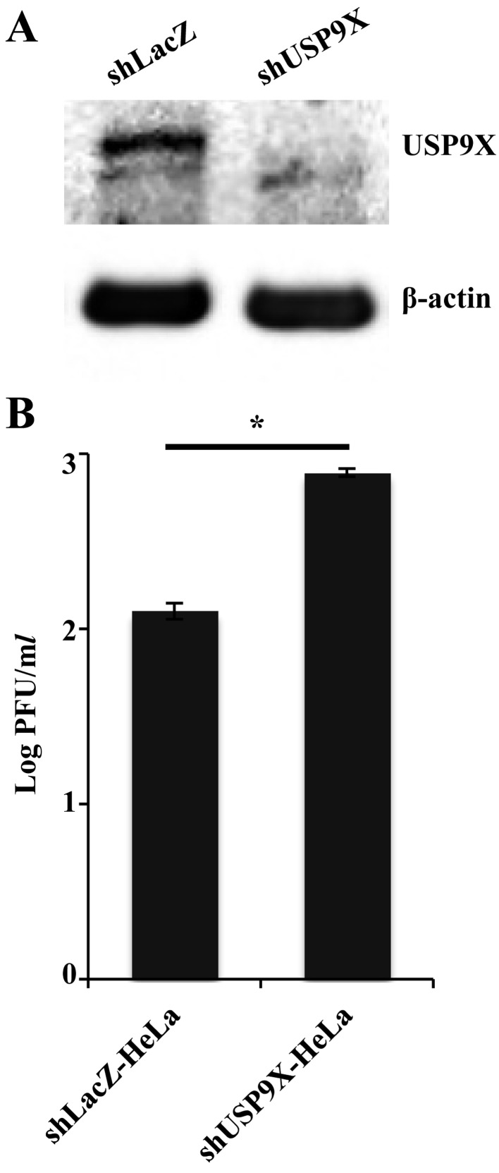 Fig. 5.