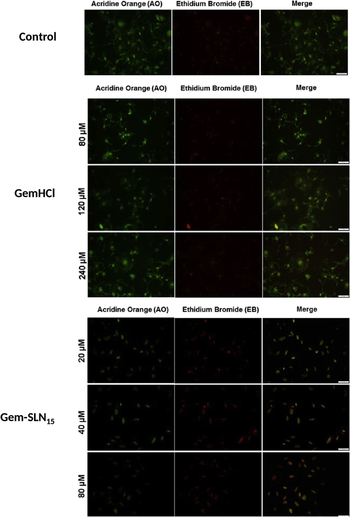 Figure 9: