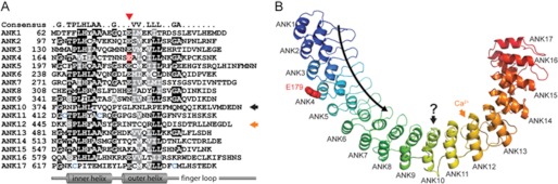 FIGURE 1.