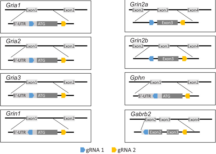 Figure 2—figure supplement 2.