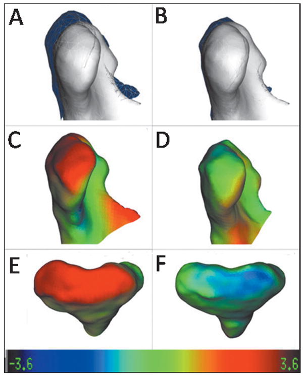 Fig 5