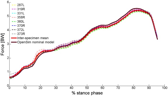 The influence of muscle pennation angle and cross-sectional area on ...