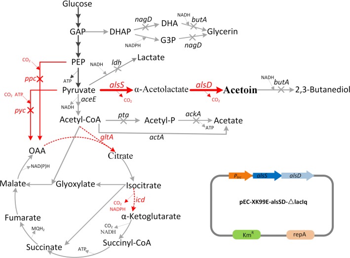 Fig. 1