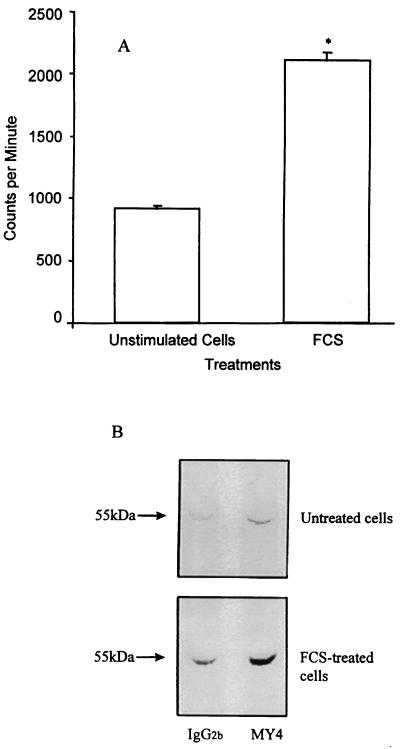 FIG. 8