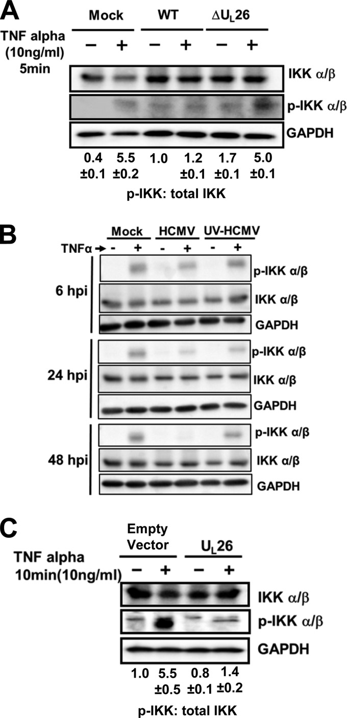 FIG 6