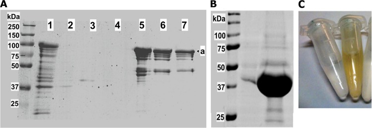 FIG 3