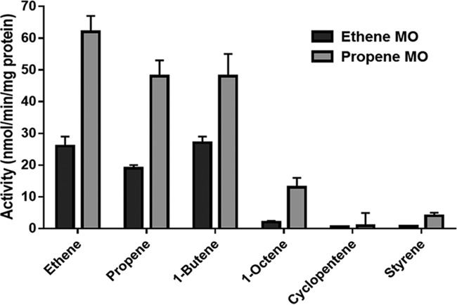 FIG 1