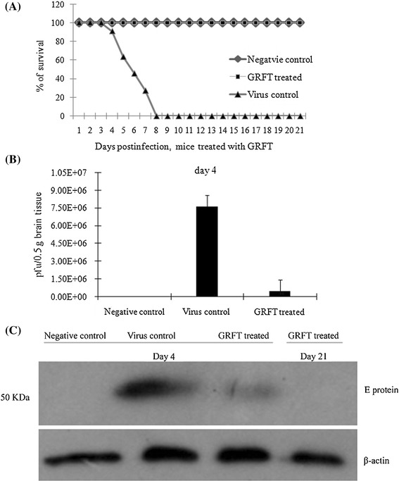 Fig. 6