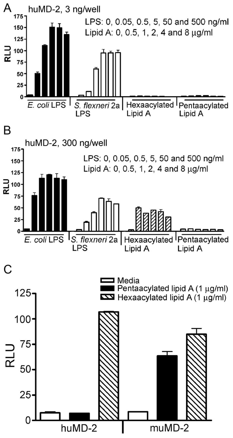 FIGURE 3