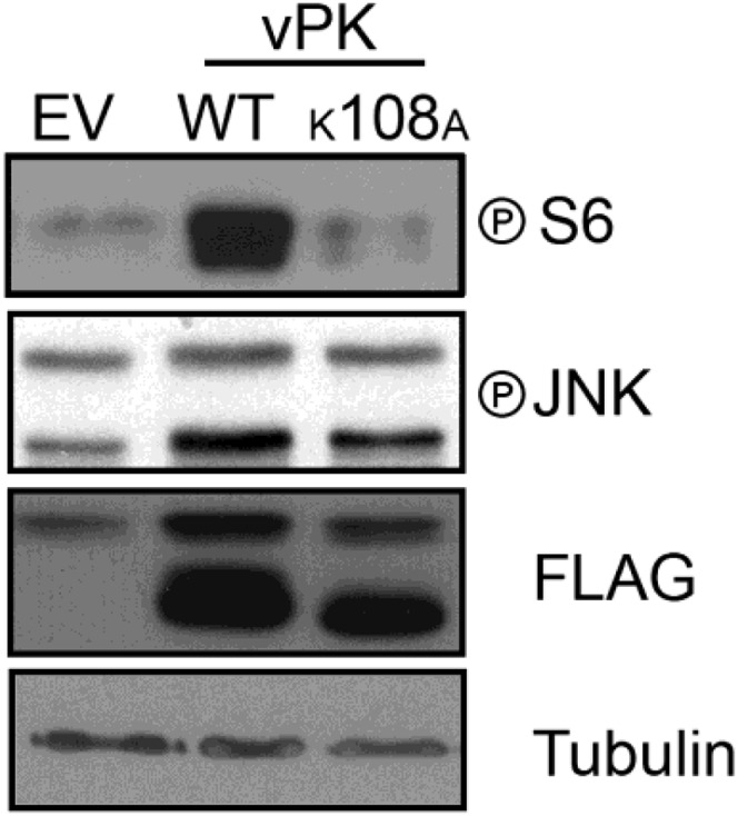 Fig. S1.