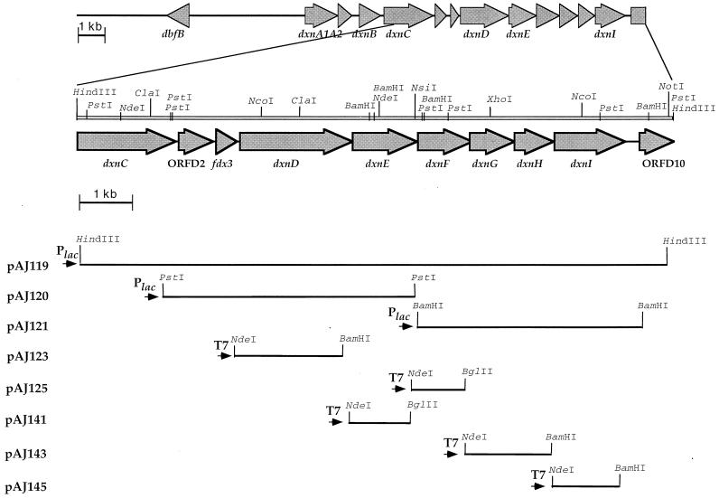 FIG. 1