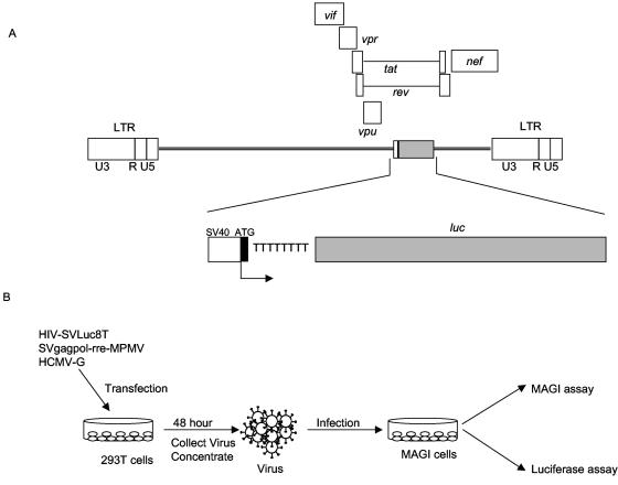 FIG. 1.