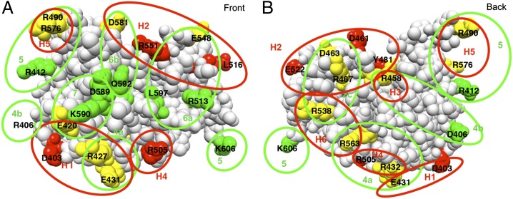 Fig. 4.