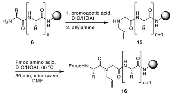 Scheme 3