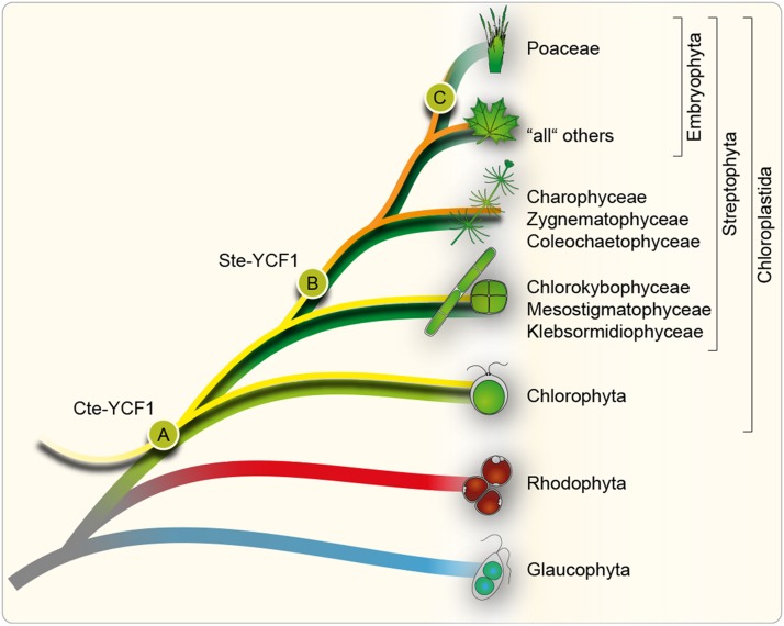 Figure 2.