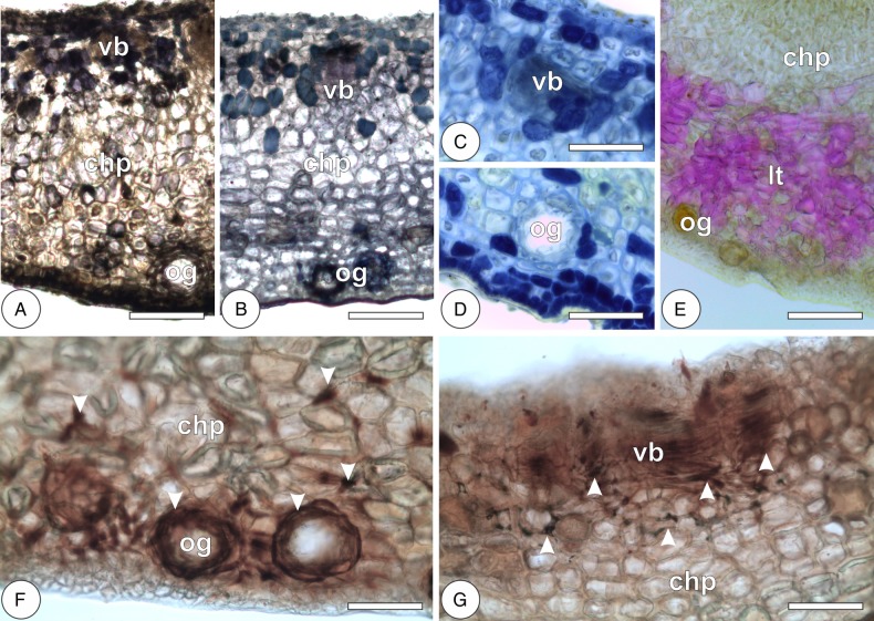 Figure 7.