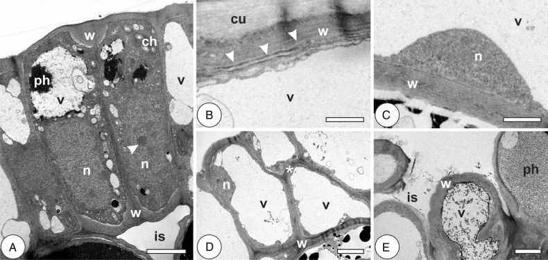 Figure 2.