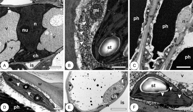 Figure 3.