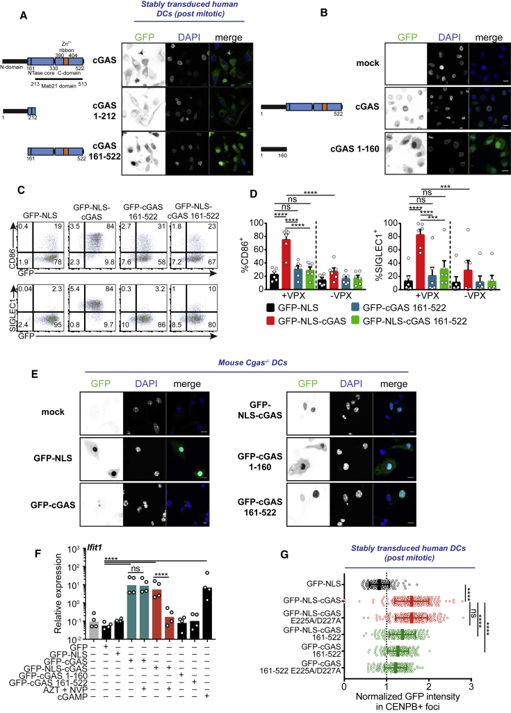 Figure 6