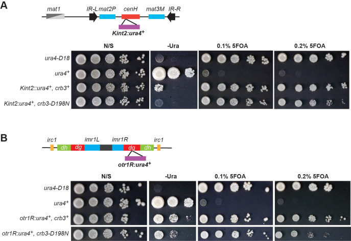 Figure 2—figure supplement 2.