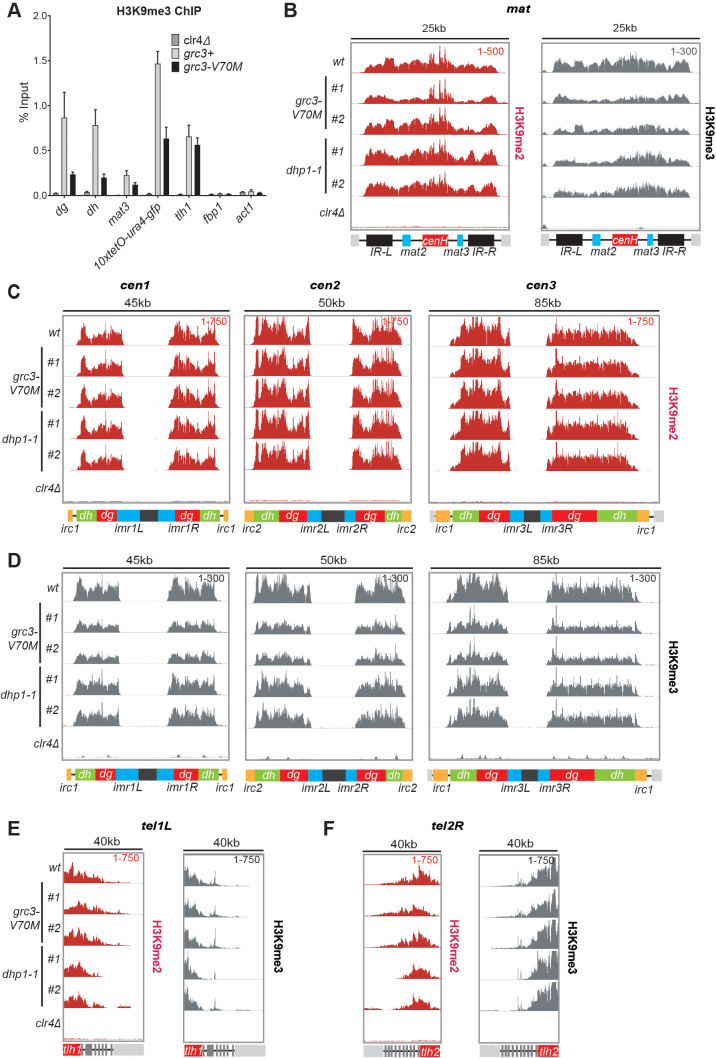 Figure 6—figure supplement 1.