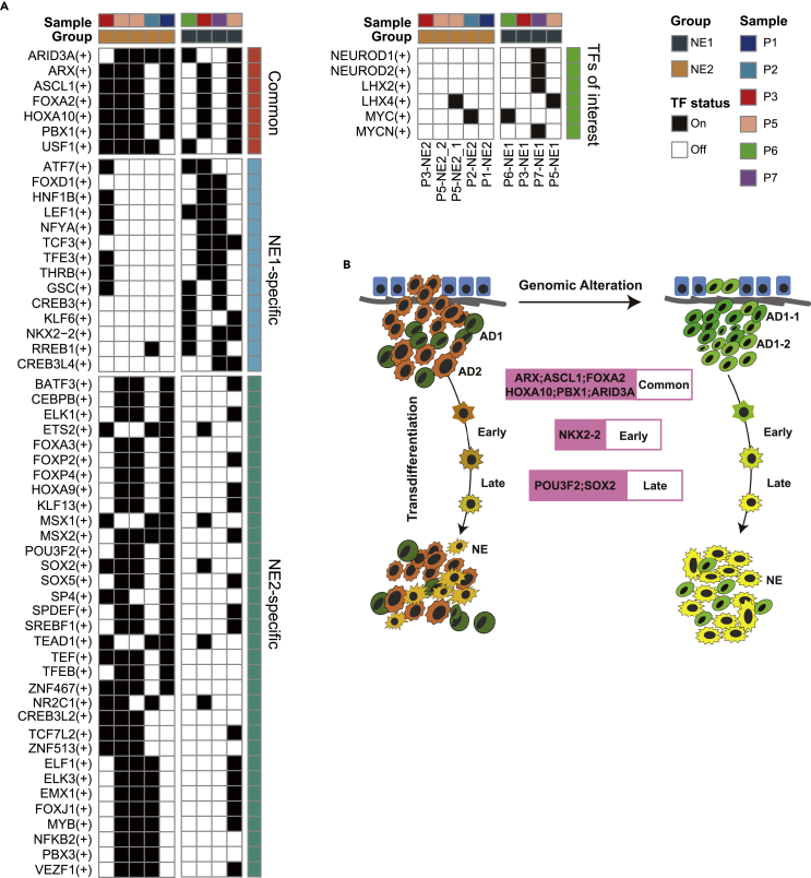 Figure 6