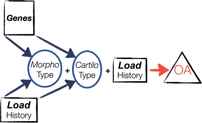 Fig. 2