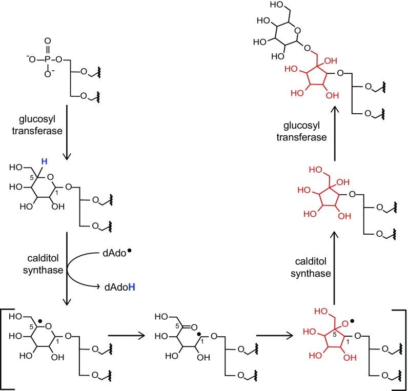 Fig. 4.