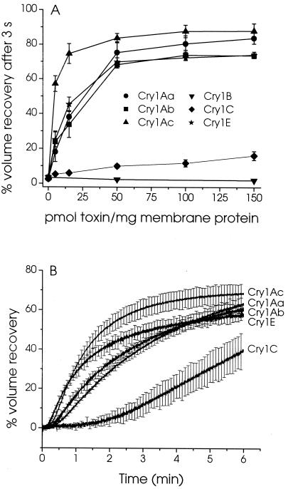 FIG. 6