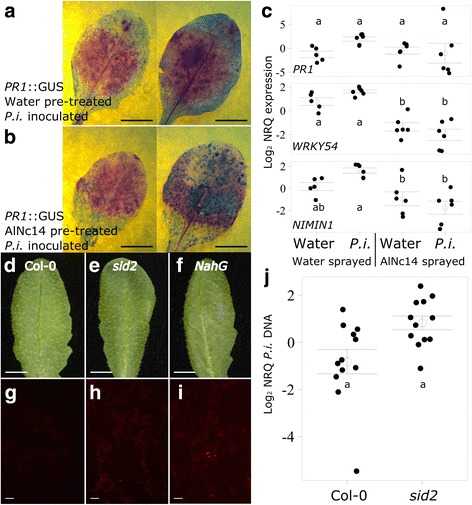 Fig. 9